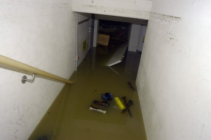 Basement Restoration Service in Chandler, AZ