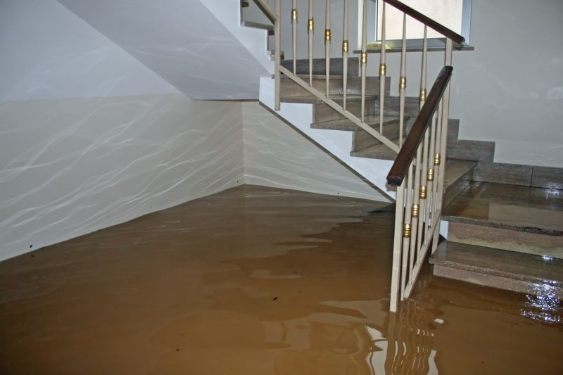 Basement Restoration Service in Phoenix, AZ