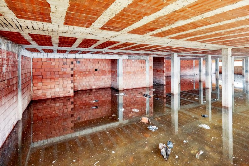 Basement Water Extraction in Scottsdale, AZ