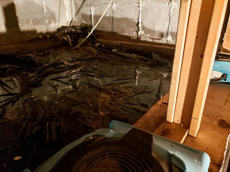 Emergency Water Removal in Phoenix, AZ