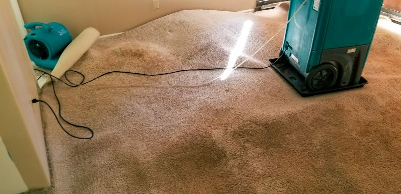 Flood Damage Cleanup in Chandler, AZ