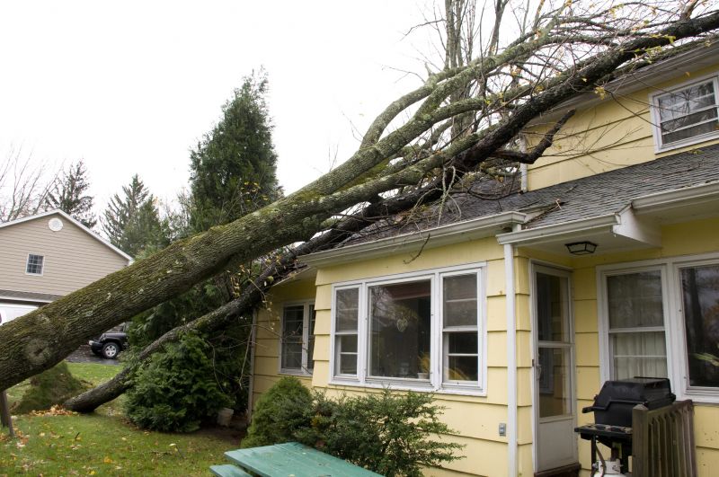 Storm Recovery Service in Chandler, AZ