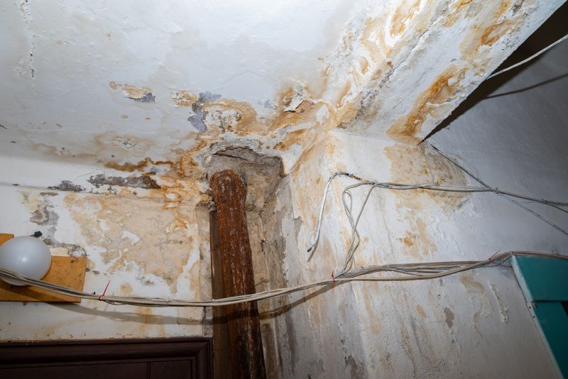 Water Damage Remediation in Phoenix, AZ