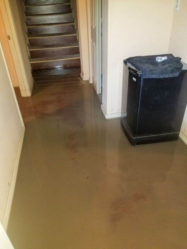 Basement Water Extraction in Chandler, AZ