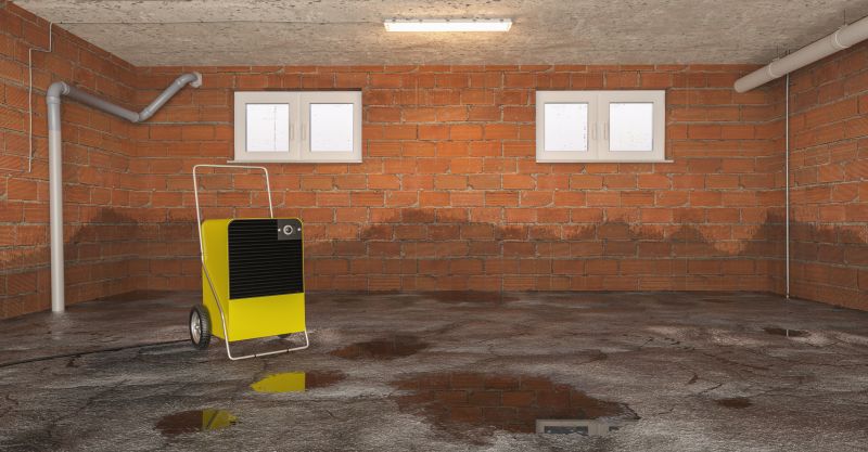 Basement Water Removal in Gilbert, AZ